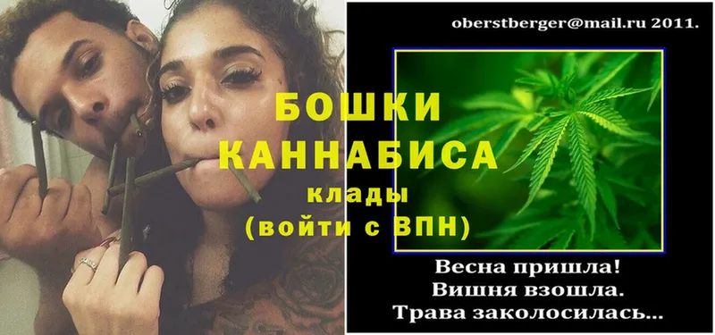 ОМГ ОМГ ТОР  хочу наркоту  Менделеевск  Каннабис OG Kush 